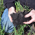 Organic Fertilizers and Nutrients for Organic Topsoil