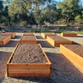 Organic Gardening Basics with Organic Topsoil