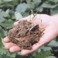 Types of Inorganic Soil Amendments
