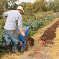 The Benefits of Organic Soil Amendments