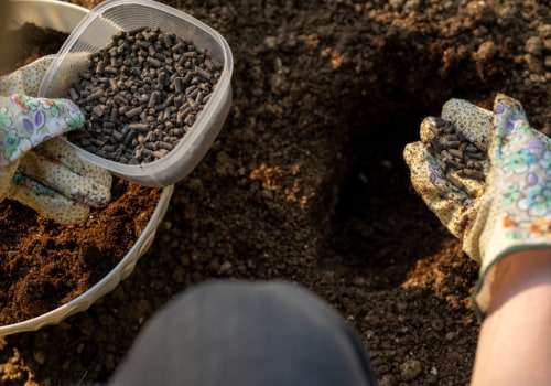 Organic Soil Amendments: What You Need to Know