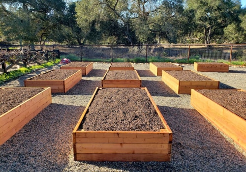 Organic Gardening Basics with Organic Topsoil