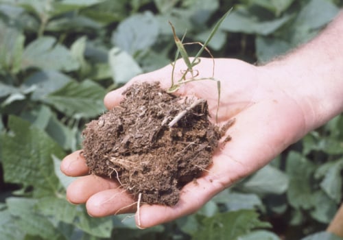 Types of Inorganic Soil Amendments
