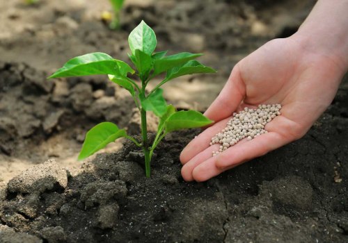 Everything You Need to Know About Fertilizers and Nutrients for Garden Soils