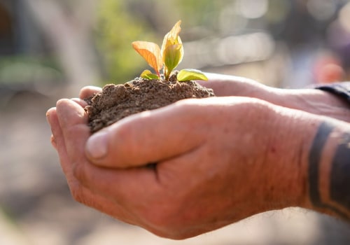 The Benefits of Inorganic Soil Amendments