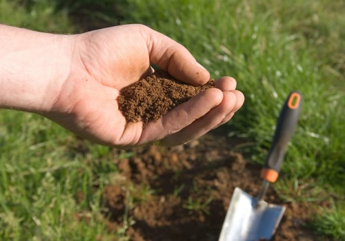Everything You Need to Know About Macronutrient Testing for Soils