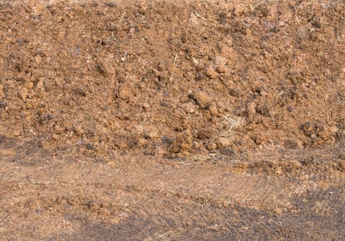Everything You Need to Know About Sandy Garden Soils