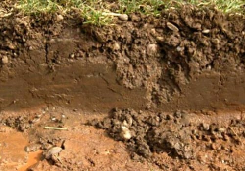 Ordering Process for Topsoil: Exploring the Basics