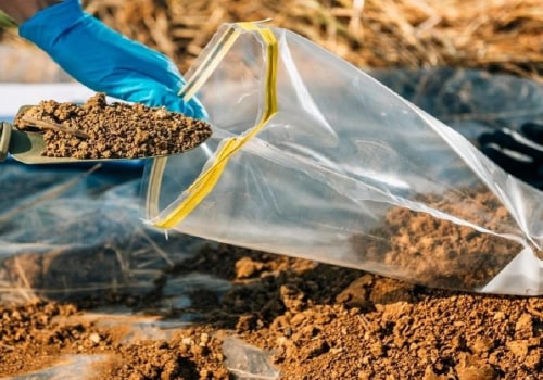Exploring the Benefits of Using Micronutrient Test Results for Soils